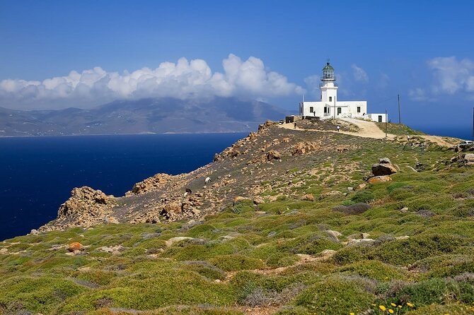 Half Day Private Tour Island With a Local in Mykonos - Price and Booking