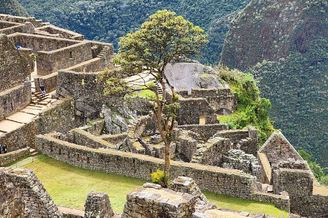 Half Day Private Tour Machu Picchu Cusco Peru - Logistics and Ticket Redemption