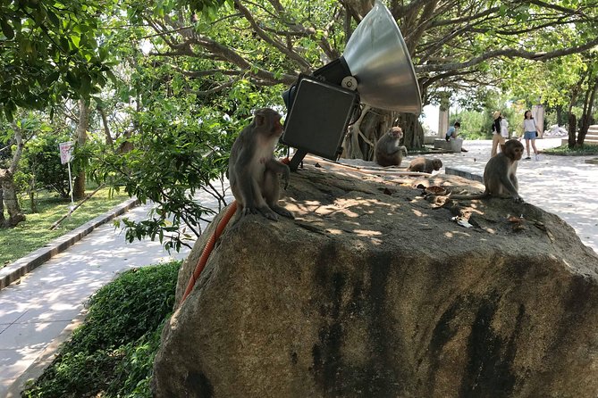 HALF DAY Private Tour Marble Mountain and Linh Ung PagoDA From DA NANG - Customer Reviews and Ratings