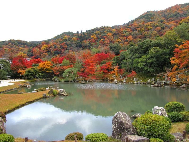 Half-day private tour of Arashiyama Monkey Park and Arashiyamas famous spots - Tenryu-ji’s gardens and Zen setting