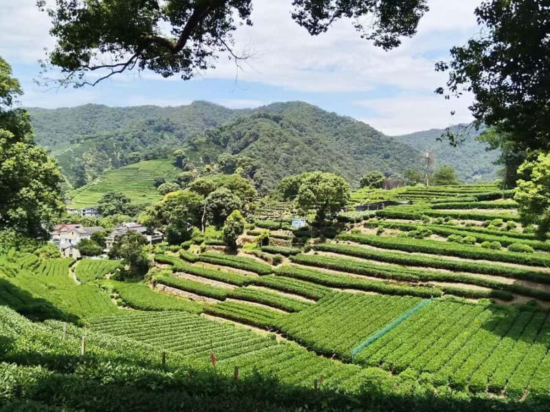 Half Day Private Tour of Jingci Temple and West Lake - Final Thoughts