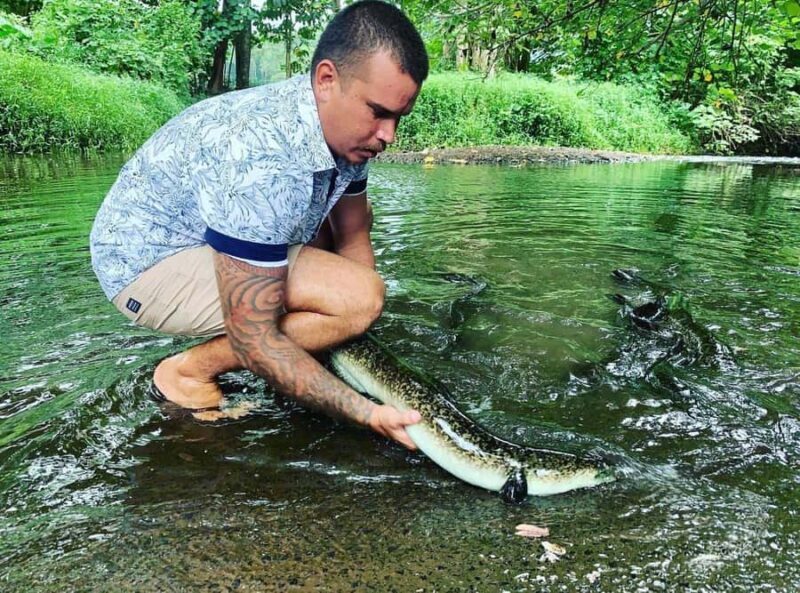 Half day Private tour of Moorea Safari Albert Pick up hotel - Final Words: Is It Worth It?