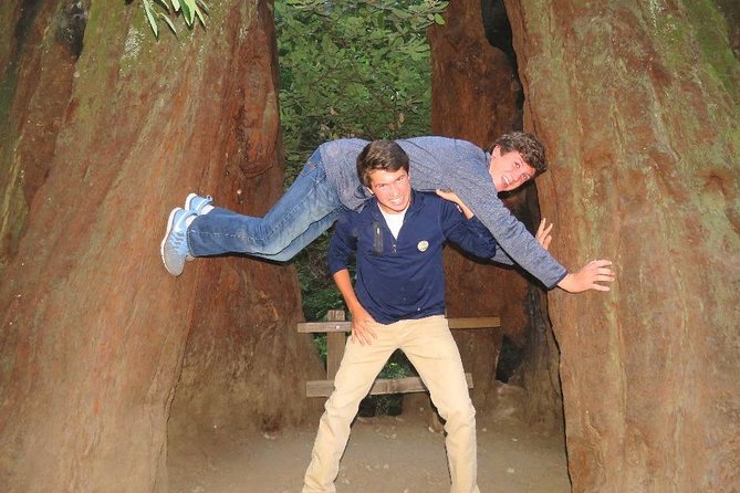 Half-Day Private Tour of Muir Woods & Sausalito From San Francisco - Tour Pricing