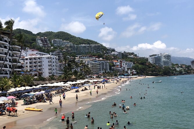 Half Day Private Tour of Puerto Vallarta With a Local Guide - Testimonials