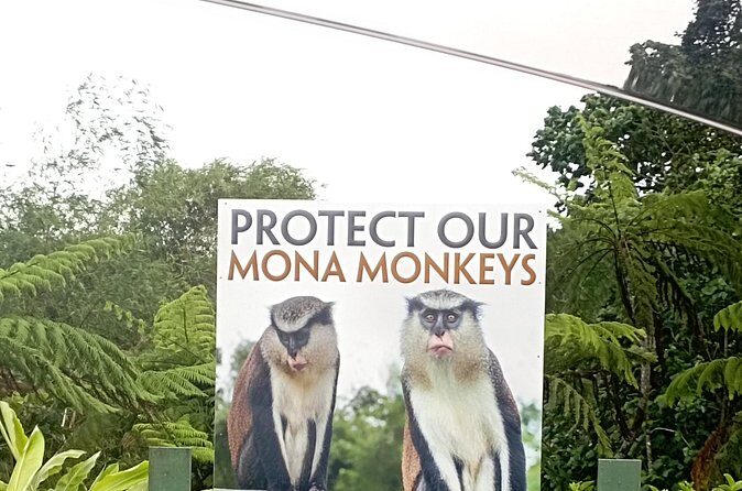 Half Day Private Tour of The Spice Isle - Exploring the Itinerary in Detail