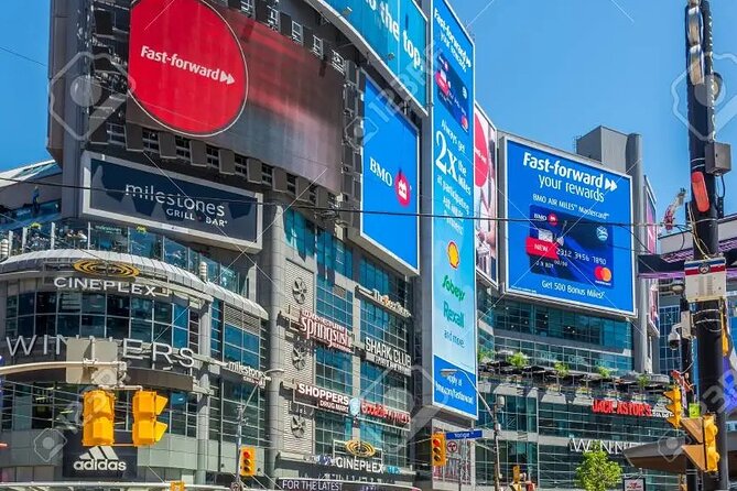 Half-Day Private Tour of Toronto With Pick up - The Sum Up