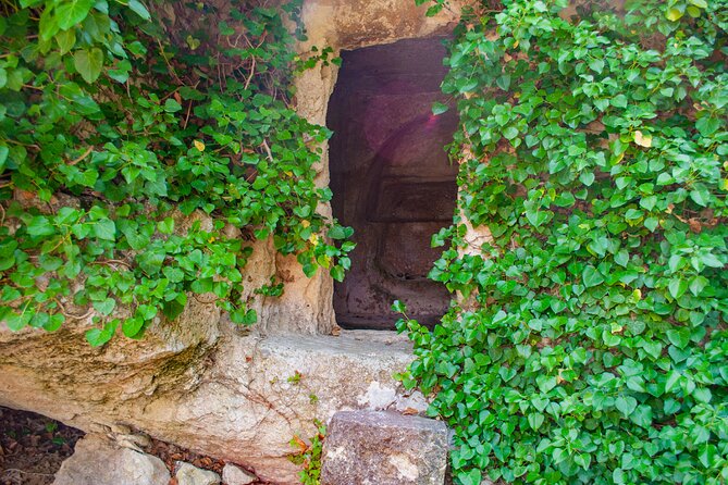 Half-Day Private Tour & Picnic in Real Cretan Countryside Retreat - Amenities