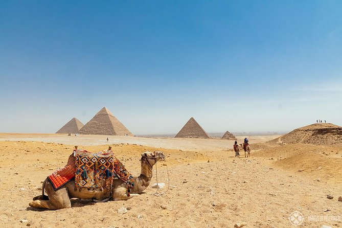 Half Day Private Tour to Giza Pyramids Sphinx - Inclusions