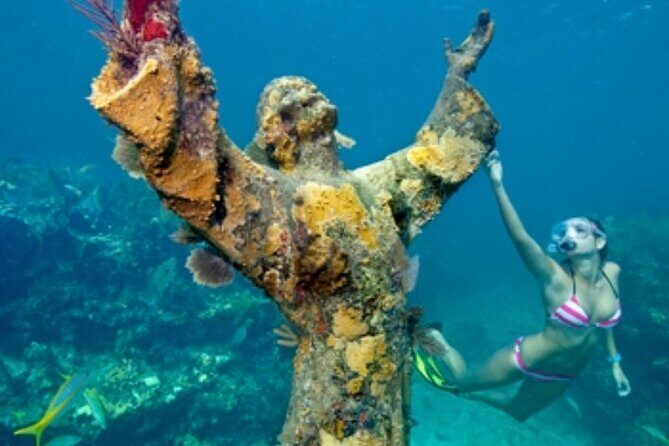 Half Day Private Tour to Islamorada Alligator Reef and Sandbar - Who Will Love This Tour