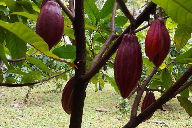 Half-Day Private Tour to Tanah Lot and Bali Royal Temple - Who Would Love This Tour?