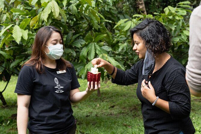 Half-Day Private Tour to Tanah Lot and Bali Royal Temple - FAQ