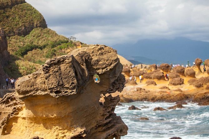 Half Day Private Tour to Yangmingshan National Park and Yehliu Geopark - Tour Highlights