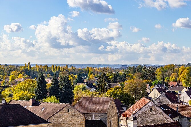 Half-Day Private Tour: Vincent Van Gogh in Auvers Sur Oise - Cancellation Policy and Traveler Support