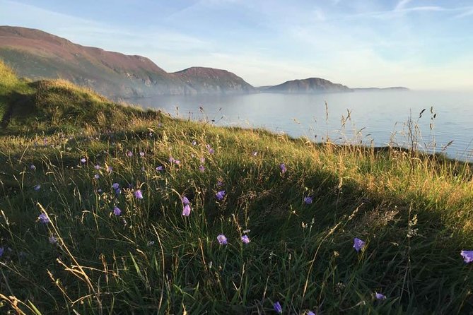 Half Day Private Tours of the Isle of Man With a Qualified Driver Guide - Overview of the Isle of Man