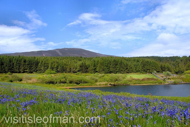 Half Day Private Tours of the Isle of Man With a Qualified Driver Guide - Common Questions