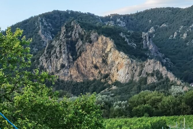 Half-Day Private Wachau Valley Tour From Vienna - Tour Guide and Assistance