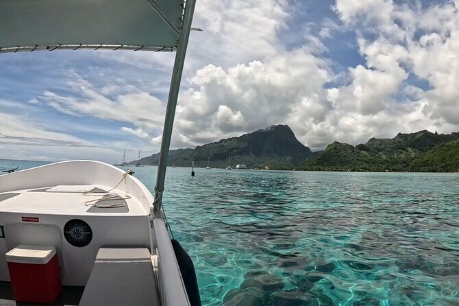 Half Day Private Whale Watching in Moorea - Frequently Asked Questions