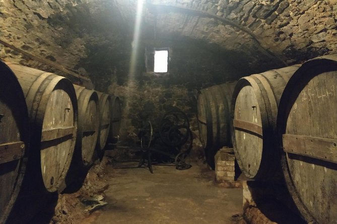 Half Day Private Wine & Oil Tasting Tour Near Barcelona With Hotel Pick up - Hassle-Free Arrangements