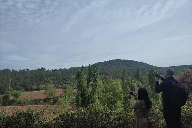 Half Day Private Wine & Oil Tasting Tour Near Barcelona With Hotel Pick up - Common Questions