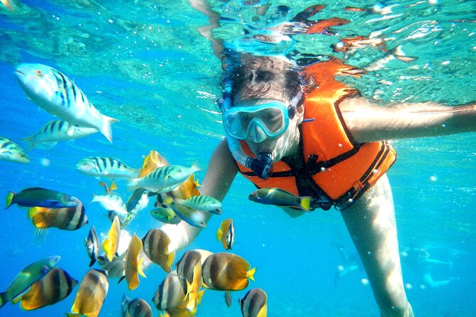 Half-Day Puerto Morelos Snorkeling Experience With Lunch - Pickup and End Points