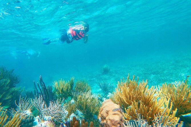 Half-Day Puerto Morelos Snorkeling Experience With Lunch - Important Information