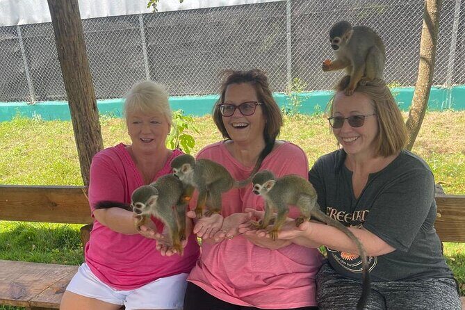 Half Day Puerto Plata City Tour and Monkey Home Visit - Good To Know