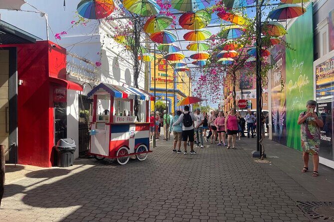 Half Day Puerto Plata City Tour and Monkey Home Visit - Final Verdict