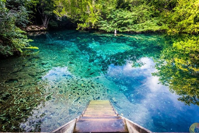 Half-Day Punta Cana Lagoon Tour With Catamaran Cruise & Snorkeling - Traveler Photos and Reviews