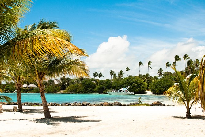 Half-Day Punta Cana Lagoon Tour With Catamaran Cruise & Snorkeling - Directions