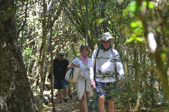 Half-Day Punta Cana Lagoon Tour With Catamaran Cruise & Snorkeling - Common Questions