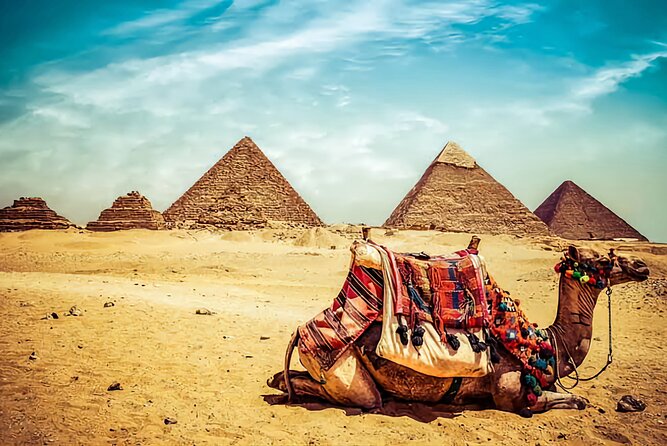 Half Day Pyramids & Sphinx Tickets&Lunch Included - Tour Guides and Customer Service