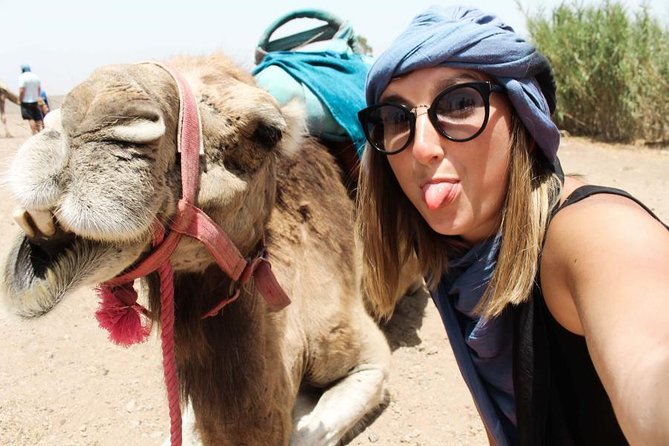 Half Day Quad and Dromedary - Activity Overview