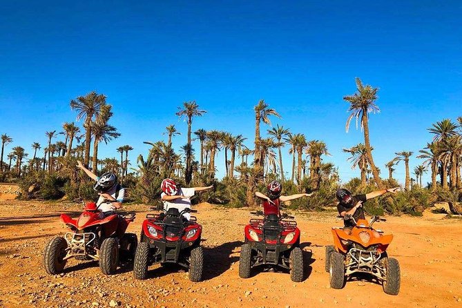 Half Day Quad and Dromedary - Pricing and Booking