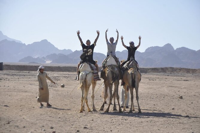 Half Day Quad Bike Adventure and Camel Ride in Beduion Camp - Booking Process
