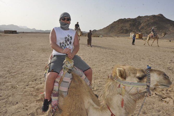 Half Day Quad Bike Adventure and Camel Ride in Beduion Camp - What To Expect During the Experience