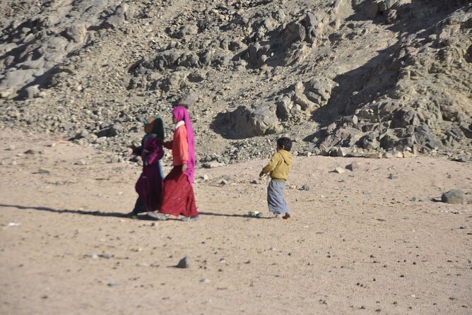 Half Day Quad Bike Adventure and Camel Ride in Beduion Camp - Customer Reviews and Ratings