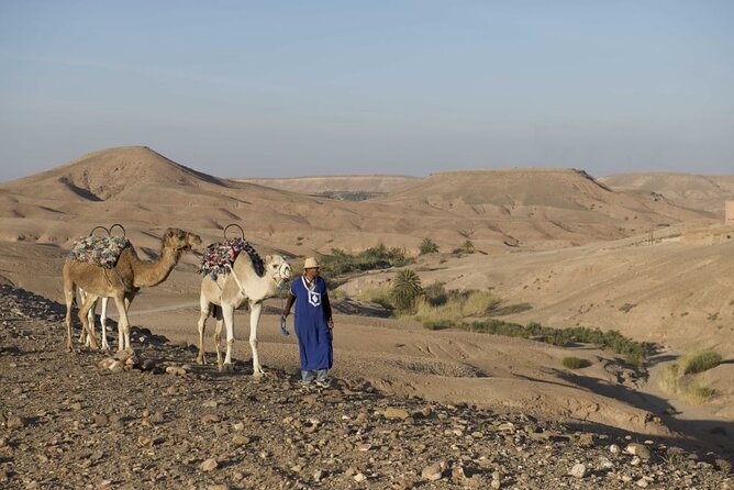 Half Day Quad Bike and Camel Ride Experience in the Agafay Desert - What to Bring