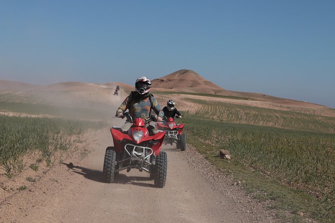 Half-Day Quad Bike in the Palmgrove & Rock Desert - Cancellation Policy