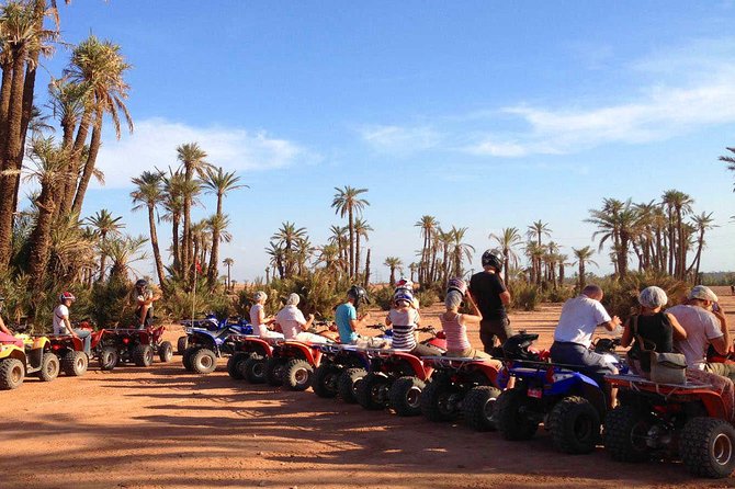 Half-Day Quad Biking Ride in the Palm Grove of Marrakech - What to Expect