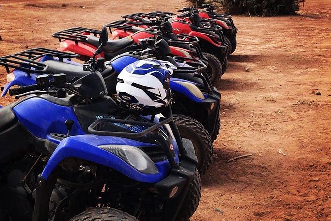 Half Day Quad Biking Tour In Palmeraie - Customer Reviews