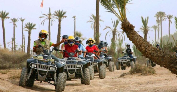 Half-Day Quad Biking Tour Marrakech Palmeraie - Tour Highlights