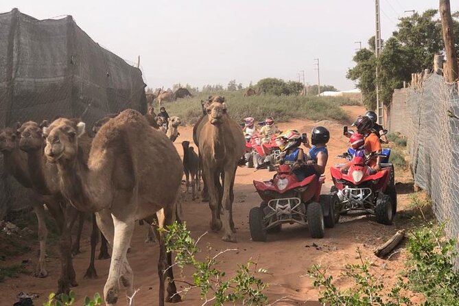 Half Day Quad in Agadir - Overview of the Quad-Bike Excursion