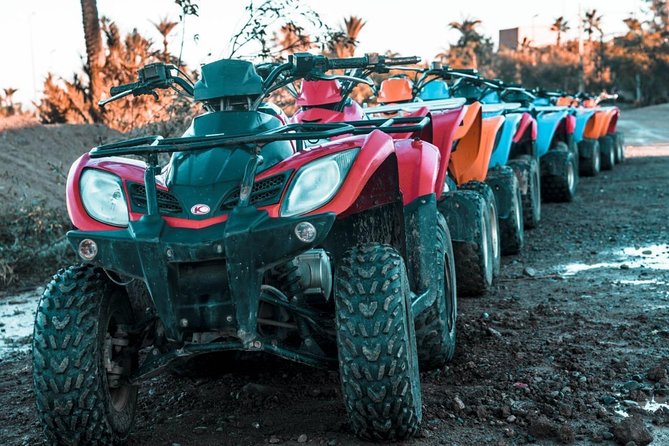 Half Day Quad Palmeraie: the Best Quad Rides - Traveler Experience