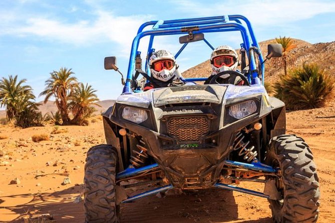 Half Day Quad Palmeraie: the Best Quad Rides - Pricing