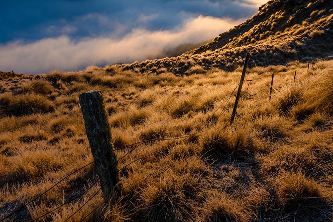 Half-Day Queenstown Photography Tour - Additional Information