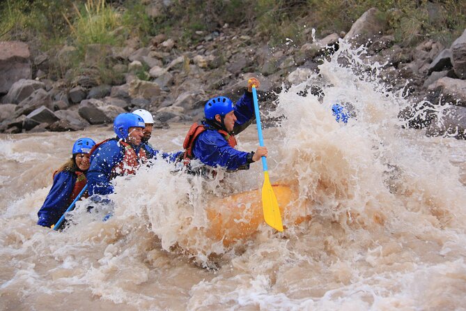 Half-Day Rafting Adventure on the Mendoza River - Logistics and Itinerary