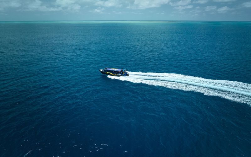 Half Day Reef Adventure to Upolu Reef - From Finger B to Upolu Reef