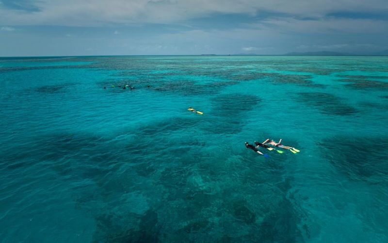 Half Day Reef Adventure to Upolu Reef - Snorkelling gear, guidance and comfort