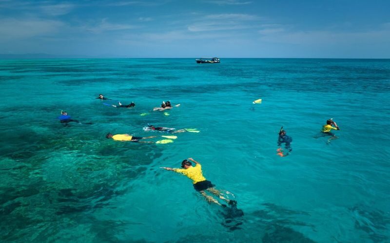 Half Day Reef Adventure to Upolu Reef - Is the price good value?