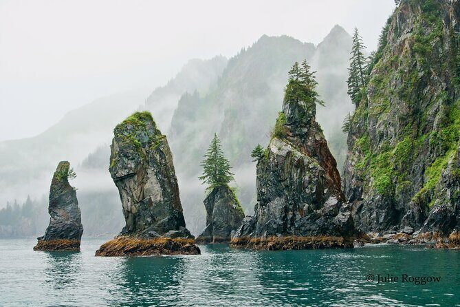 Half-day Resurrection Bay & Wildlife Tour from Seward - Good To Know